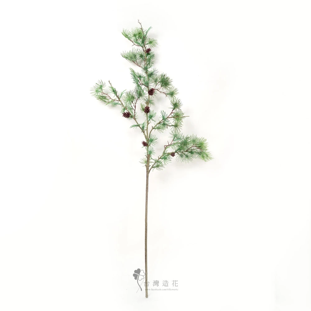 43"塔瑪拉克松(綠)