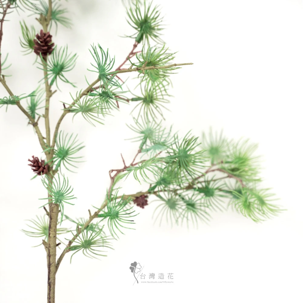 43"塔瑪拉克松(綠)