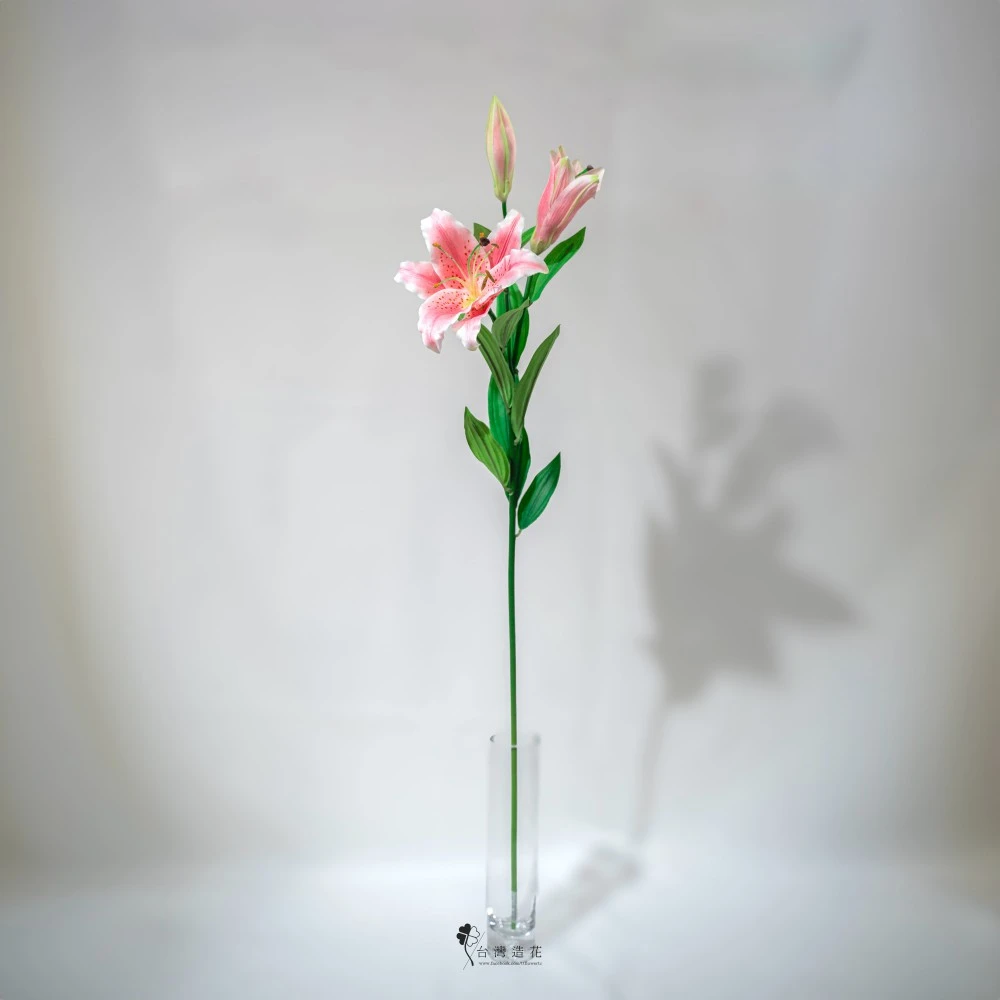 中虎百合(淺粉)