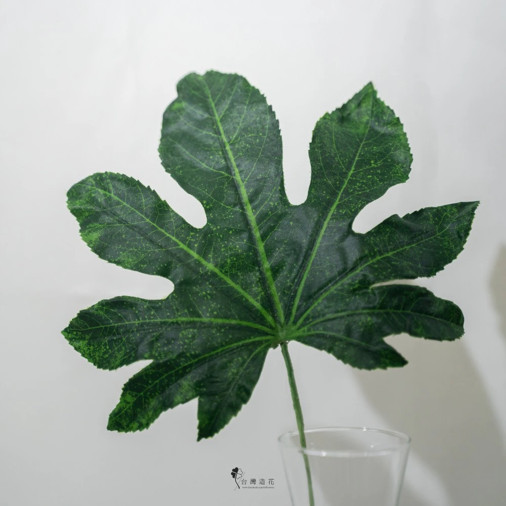 9"八角金盤(綠)