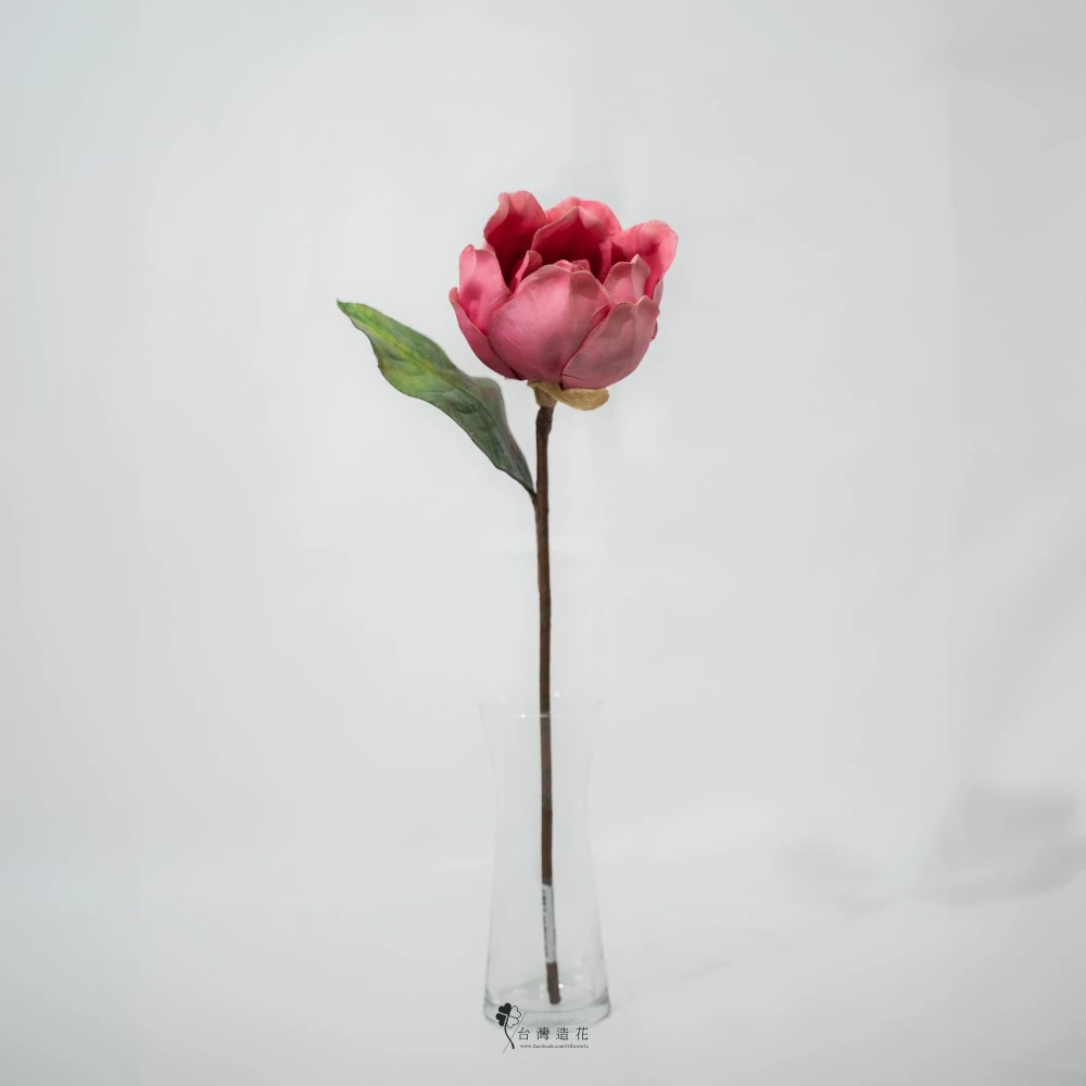 木棉花PK(中國紅)