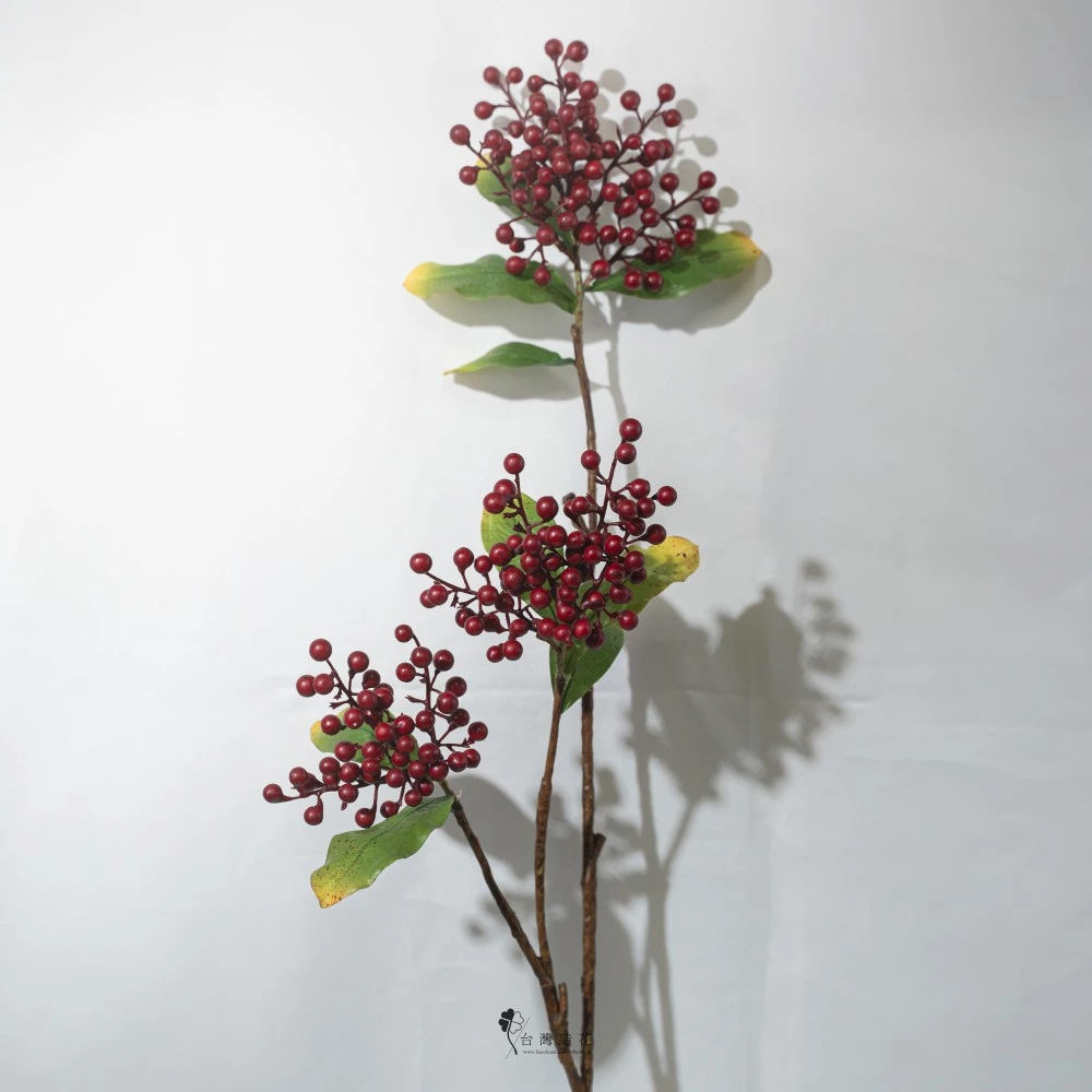 洋商露果X3(紅)
