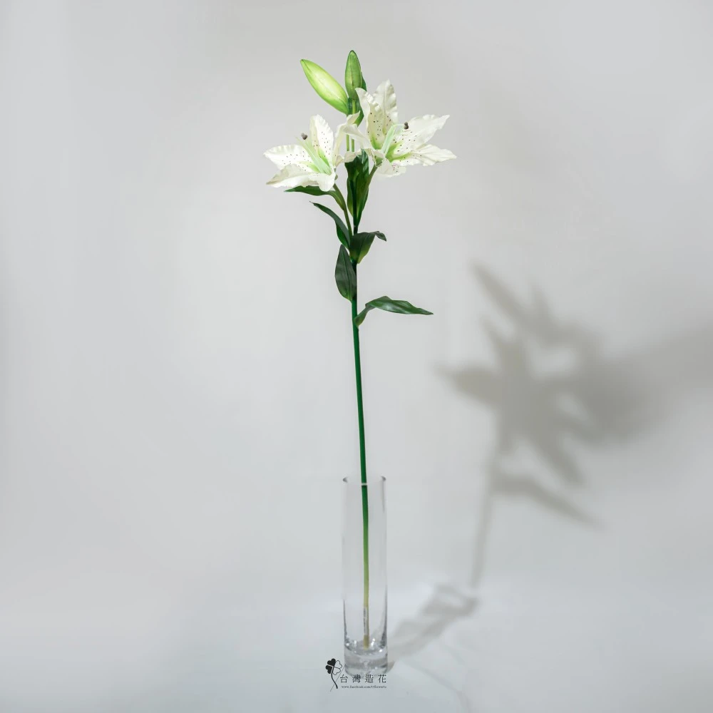 姬百合(米白)