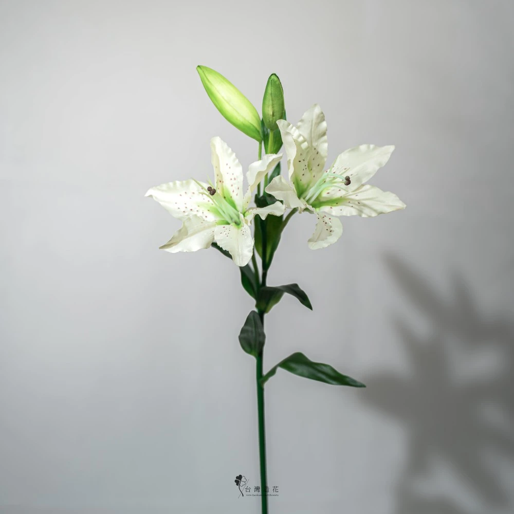 姬百合(米白)