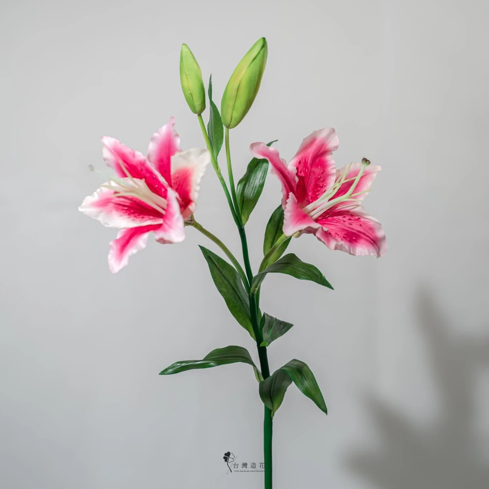 姬百合(深粉)