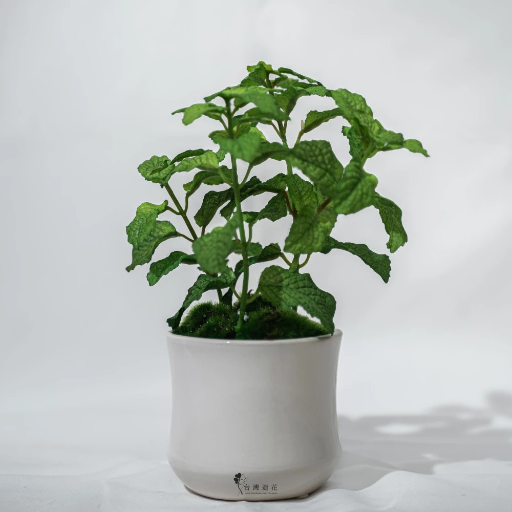 10.5"薄荷葉盆(綠)