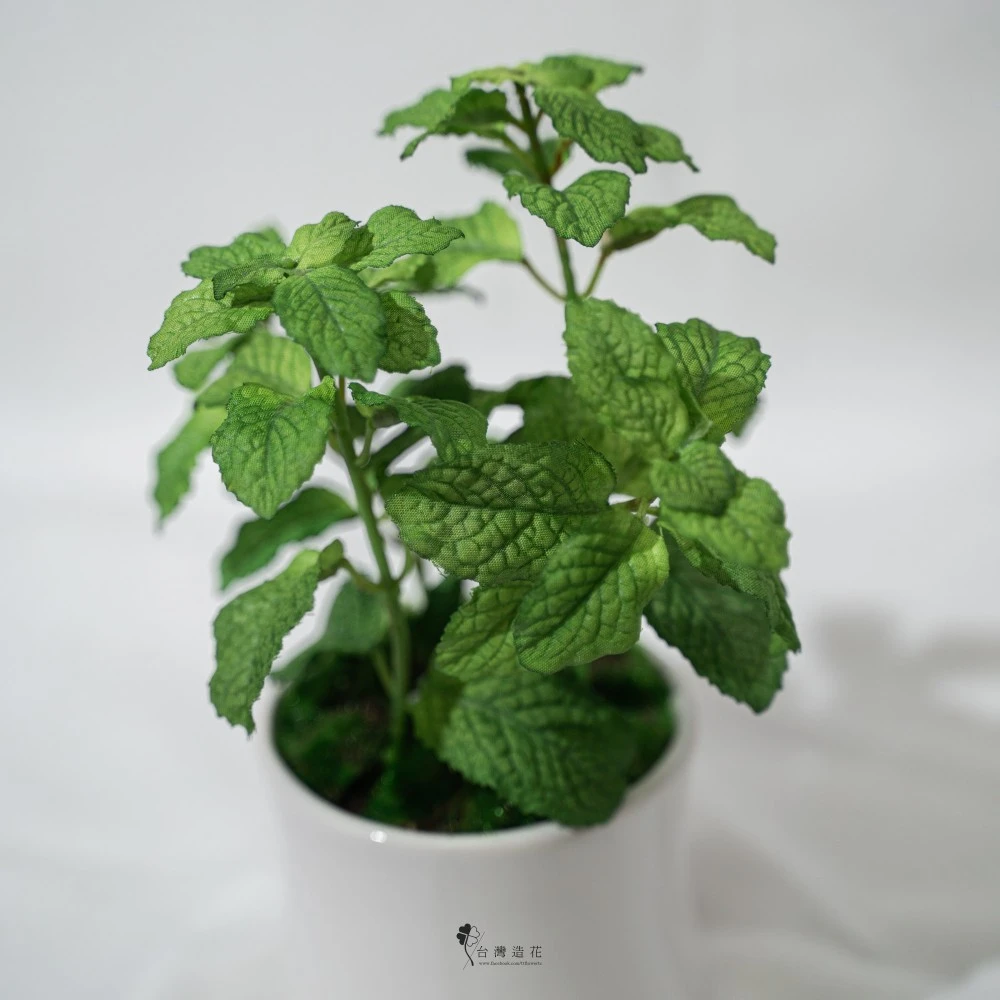10.5"薄荷葉盆(綠)