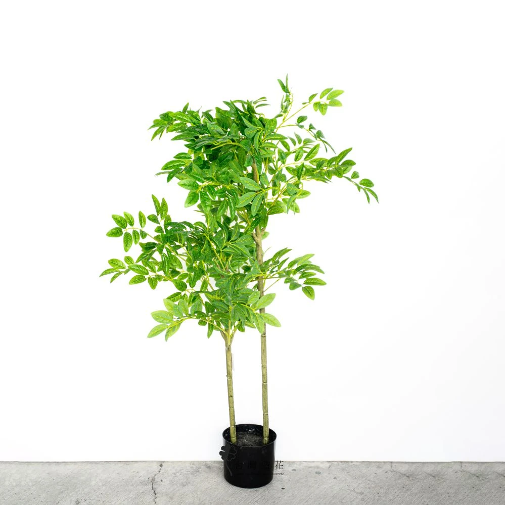 3.5呎胡椒木(綠)