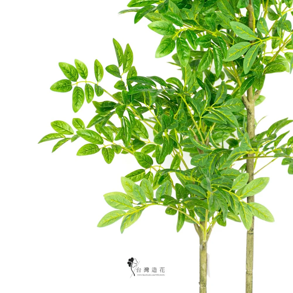 3.5呎胡椒木(綠)