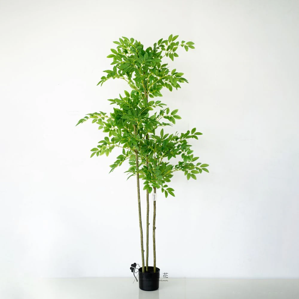 5.5呎胡椒木(綠)