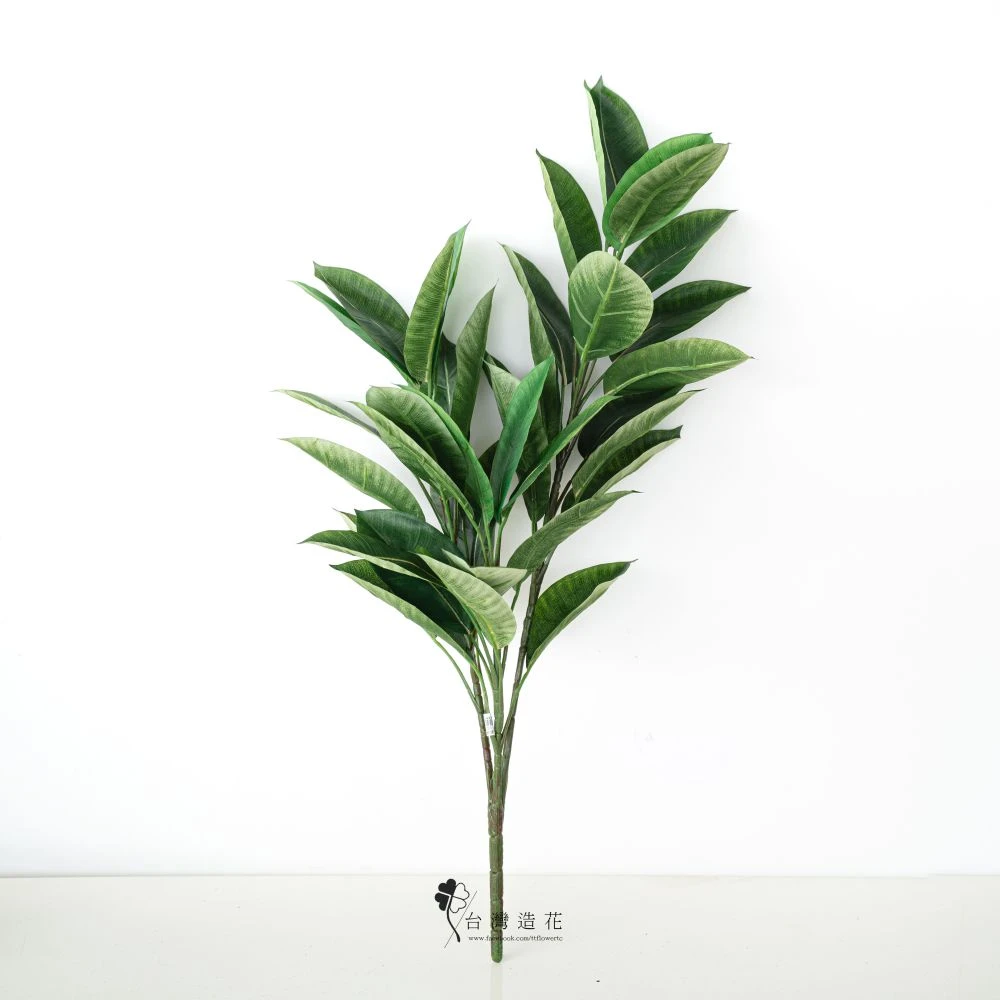 34"麵包樹(綠)