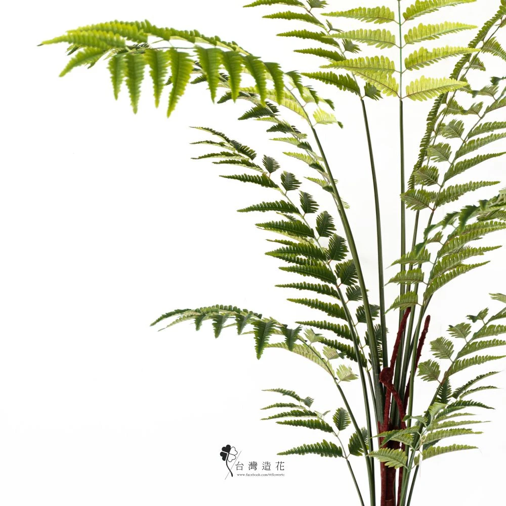 7尺蕨葉盆(綠)
