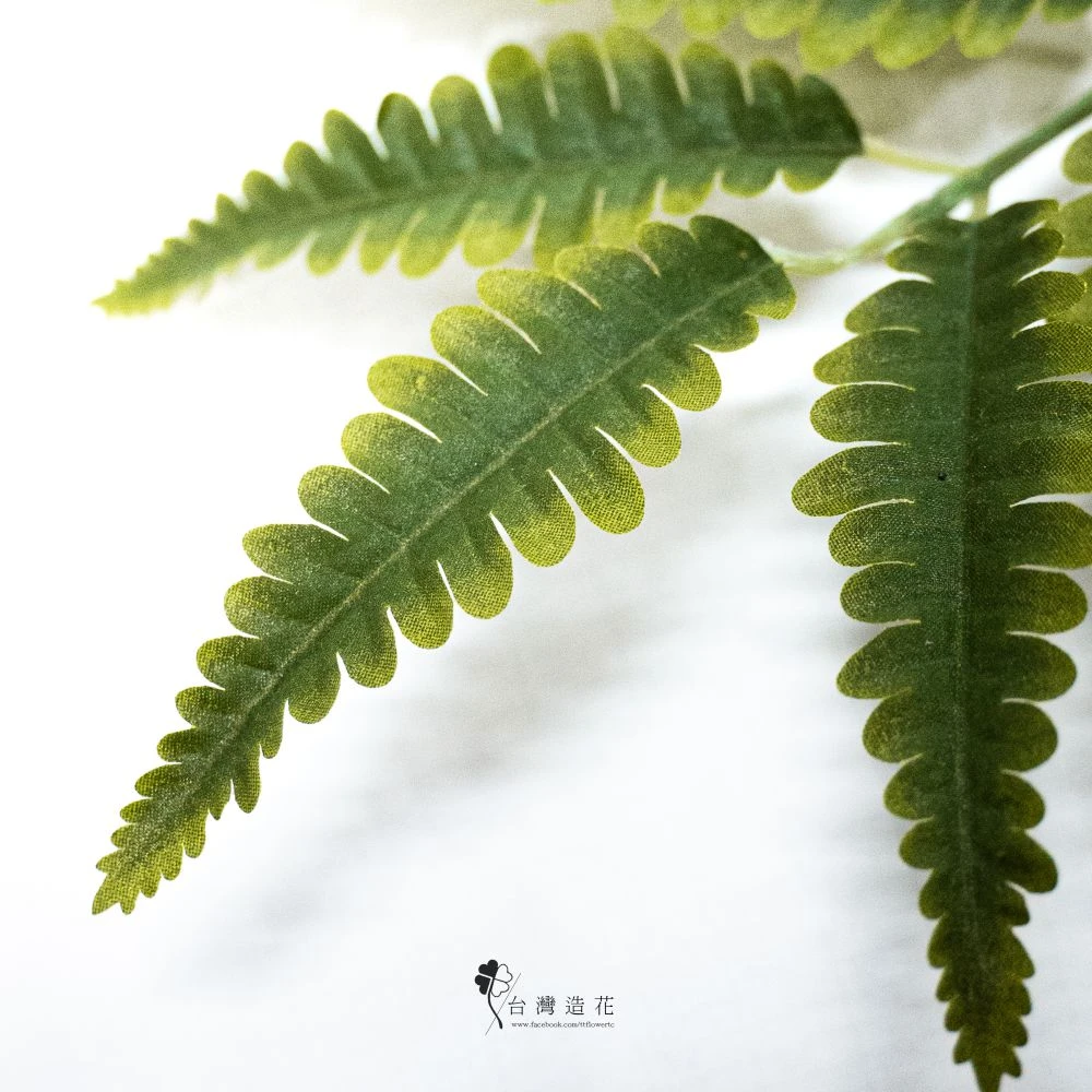 8尺蕨葉盆(綠)