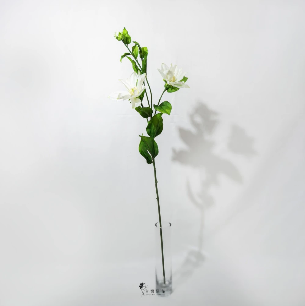 鐵線蓮(米白)