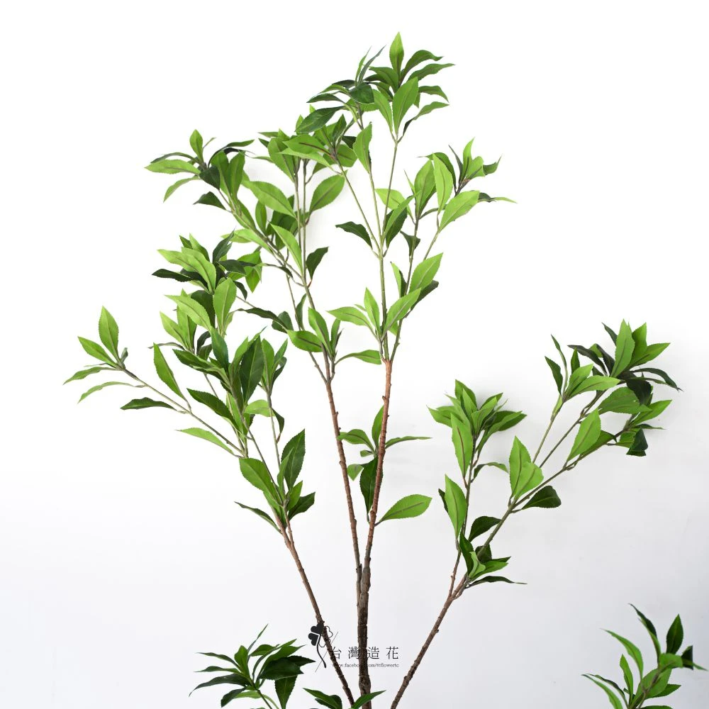 180CM馬醉木枝(綠)