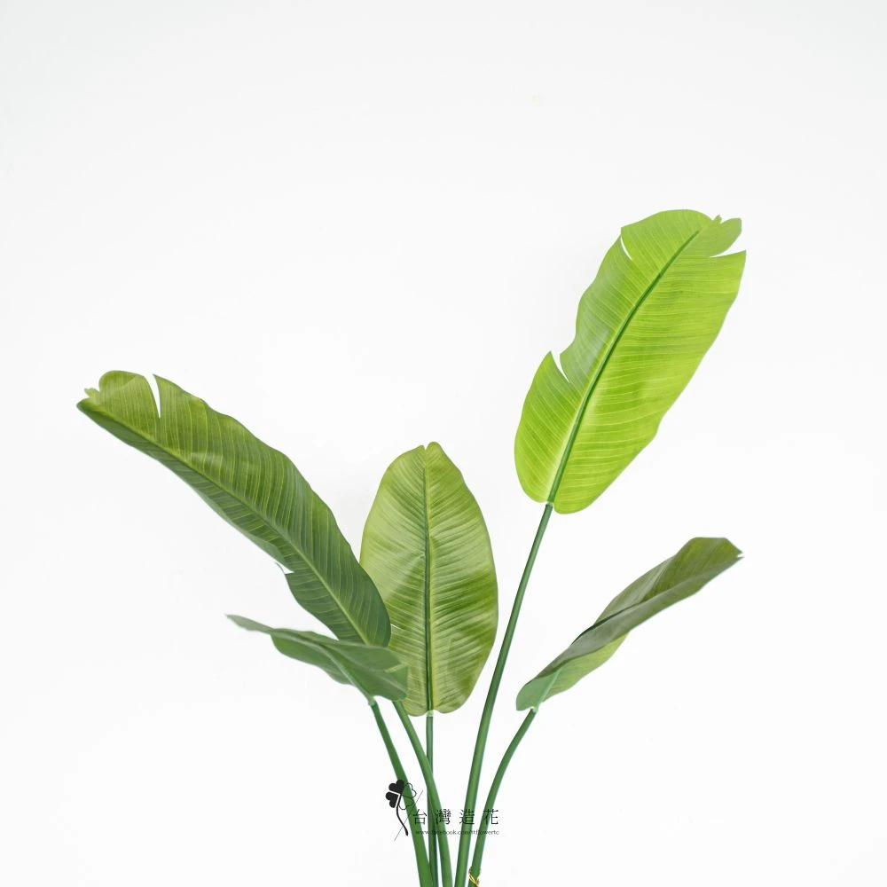 90CM芭蕉樹(綠)