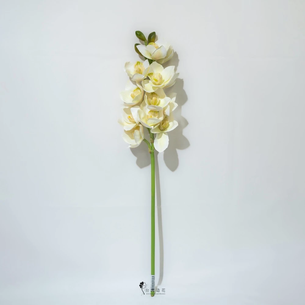 27"大花蕙蘭(米白)