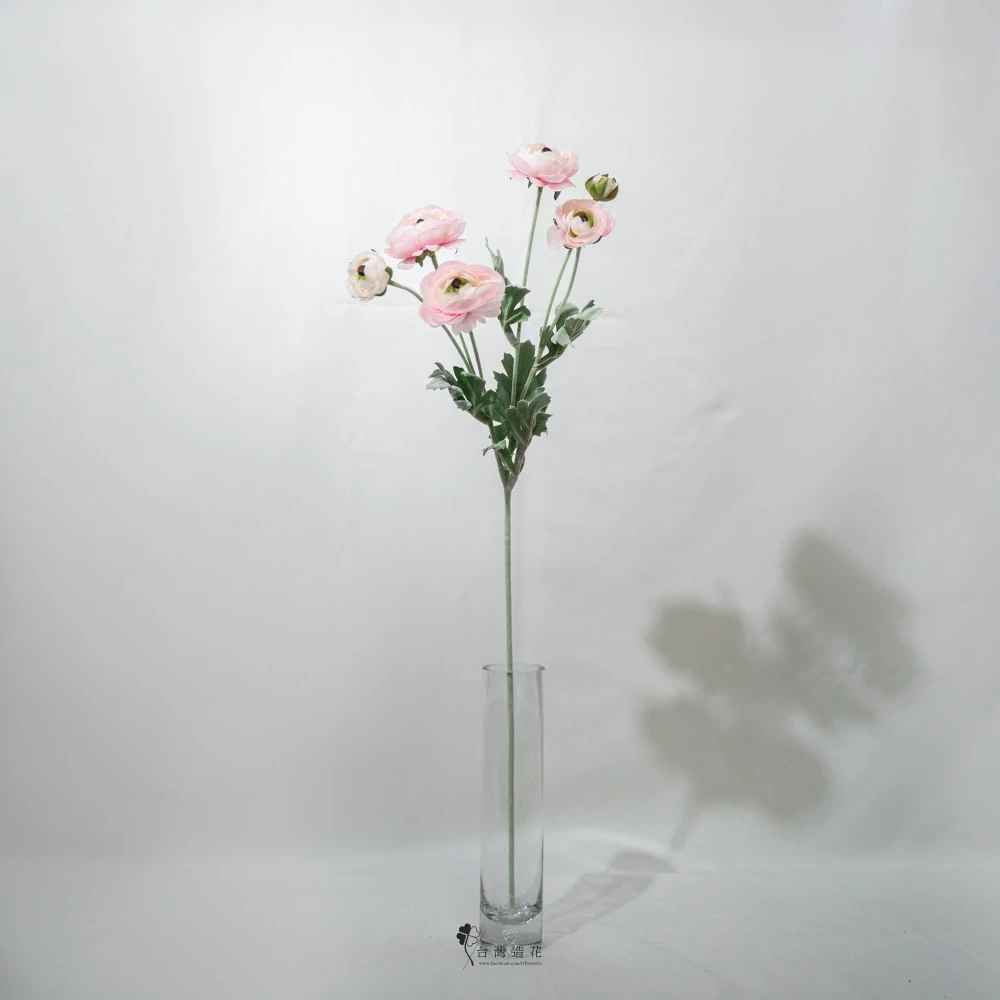 洋牡丹(淺粉)