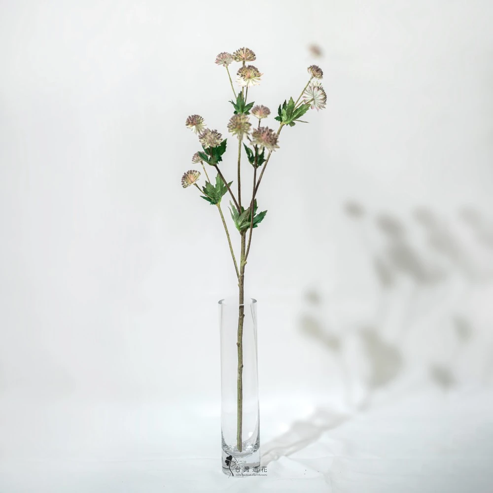 星芹花(綠)
