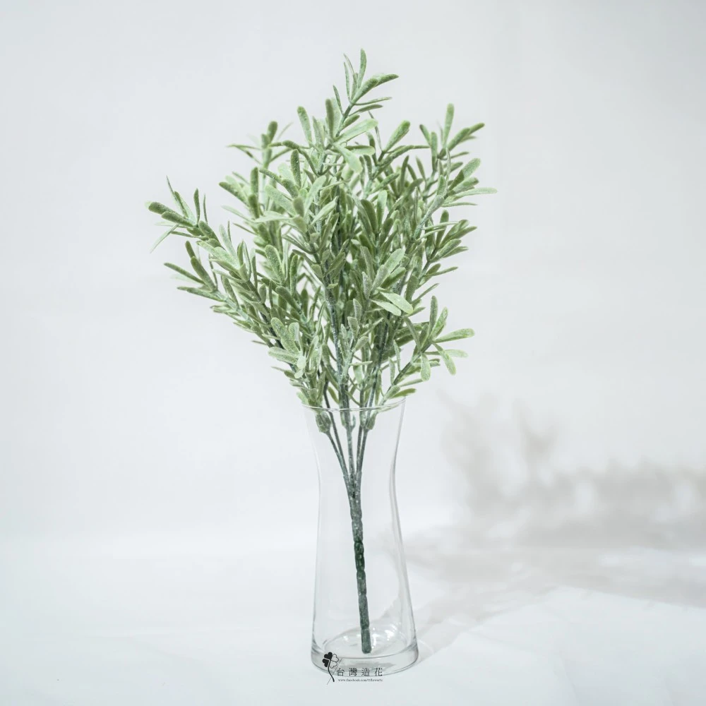 細葉芙蓉(淺綠)