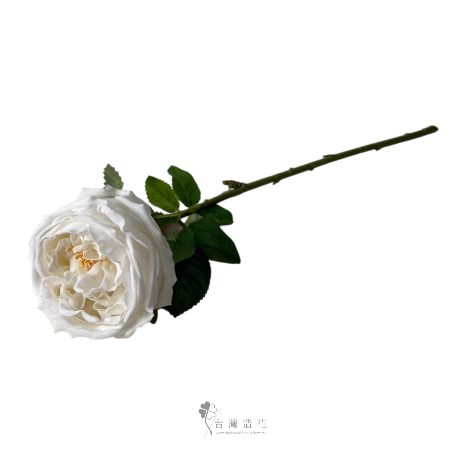 單支奈斯保濕玫瑰(白)