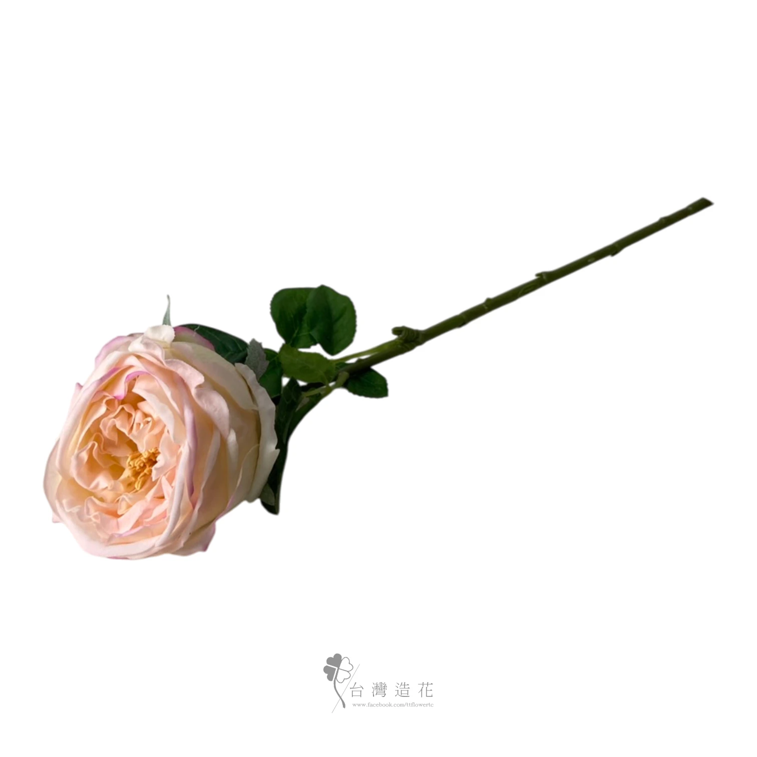 單支奈斯保濕玫瑰(淺粉)
