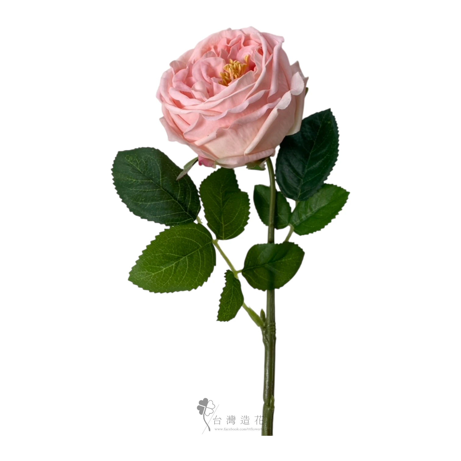 單支奈斯保濕玫瑰(深粉)