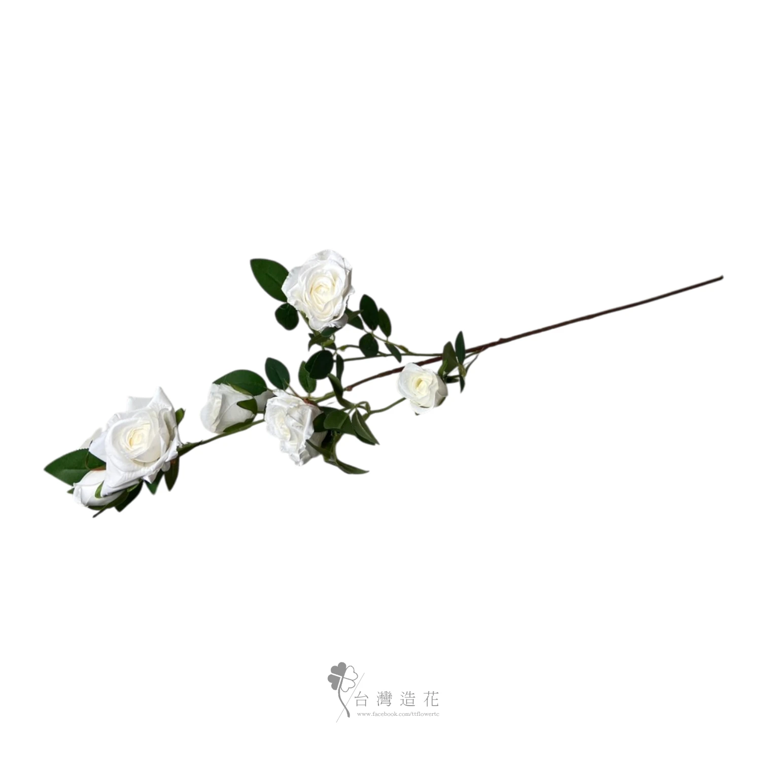 六朵薔薇(米白)