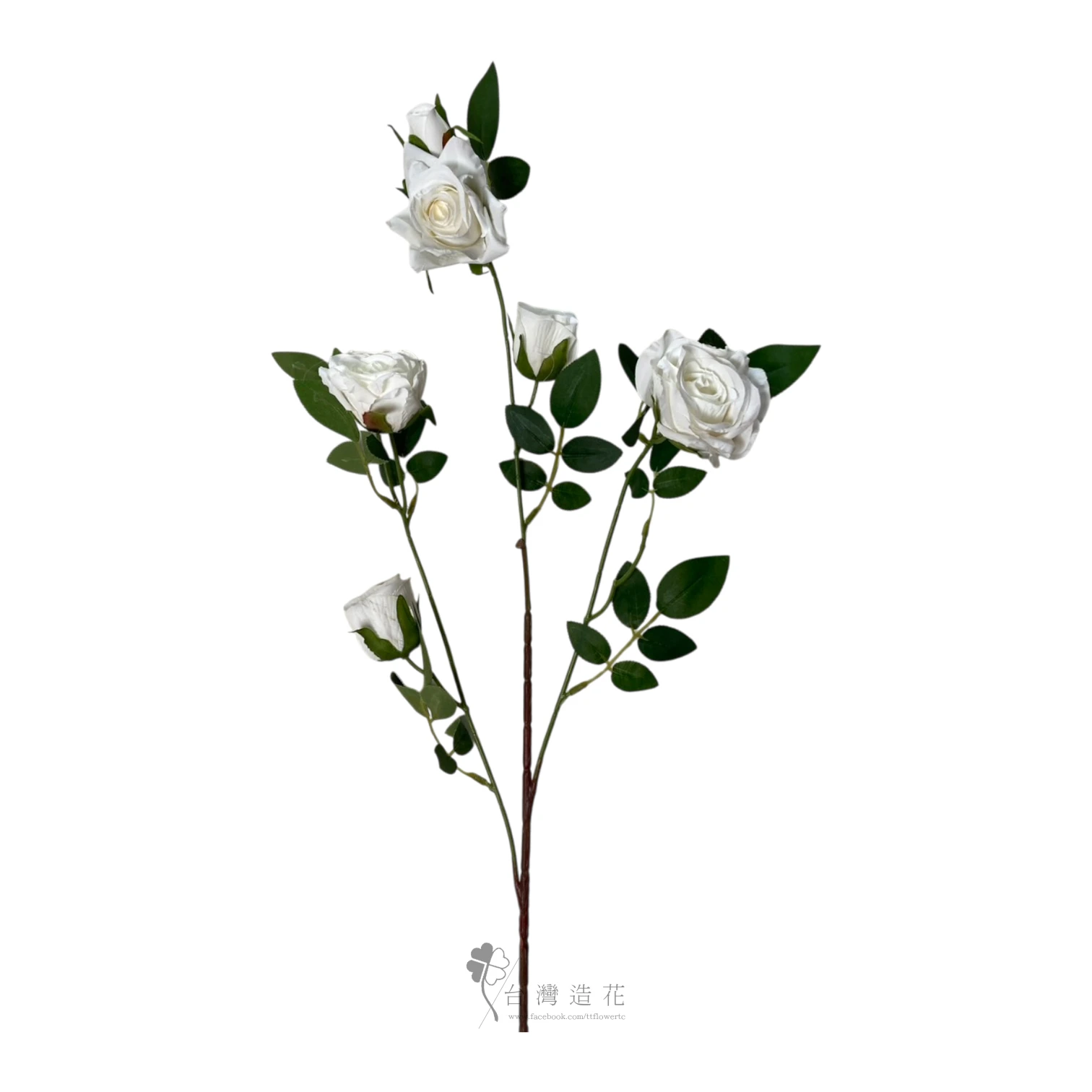 六朵薔薇(米白)