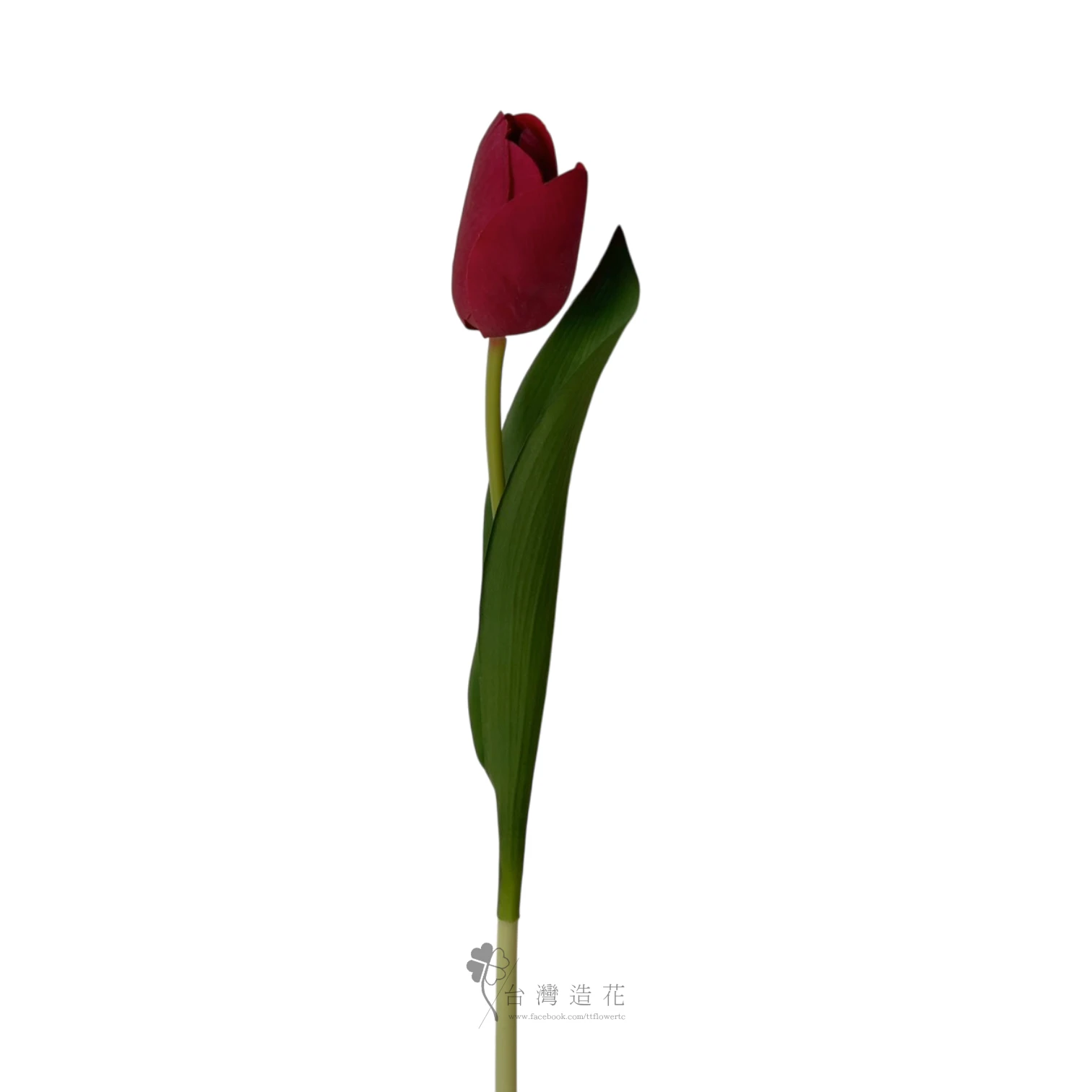 手感保濕鬱金香(紅)
