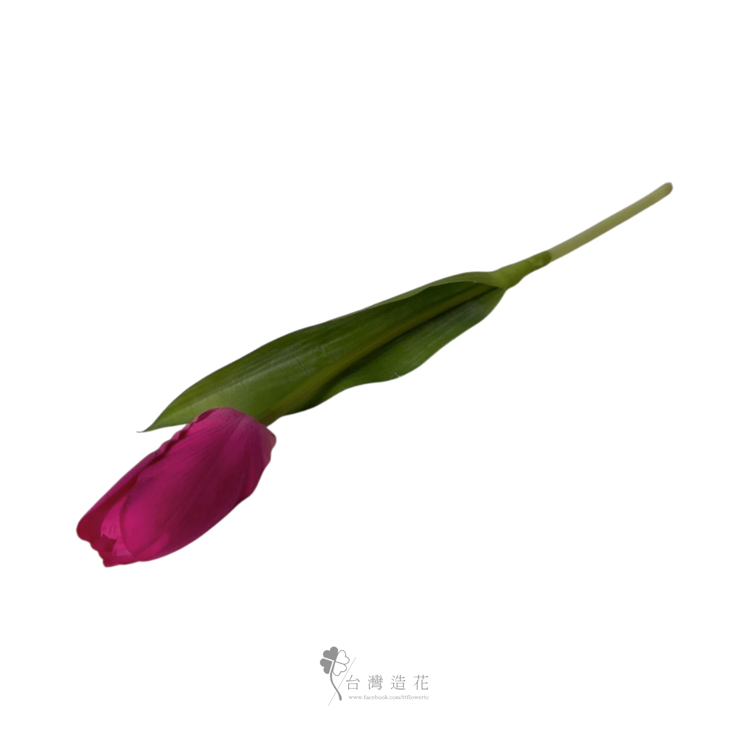 手感保濕鬱金香(桃紅)