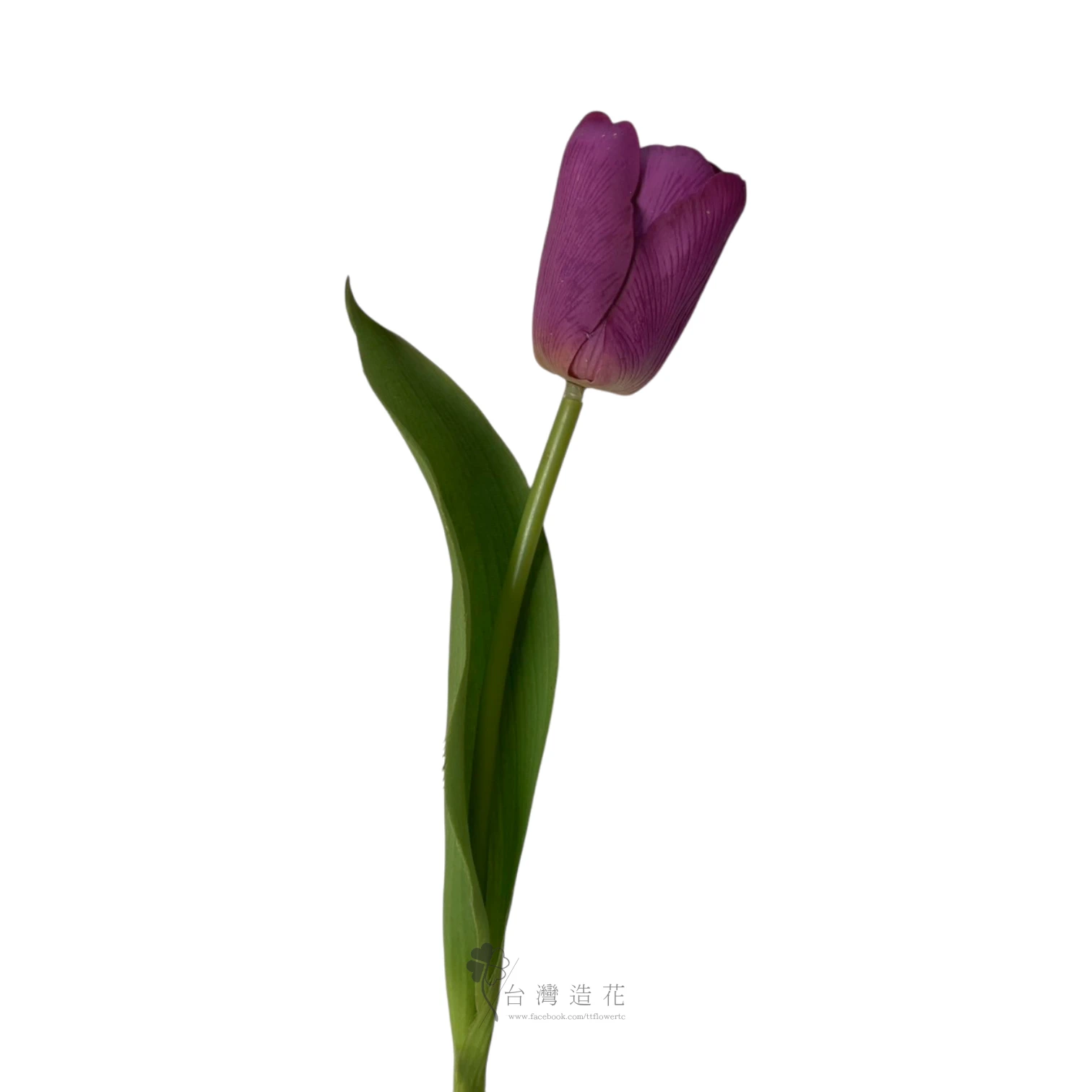 手感保濕鬱金香(紫)