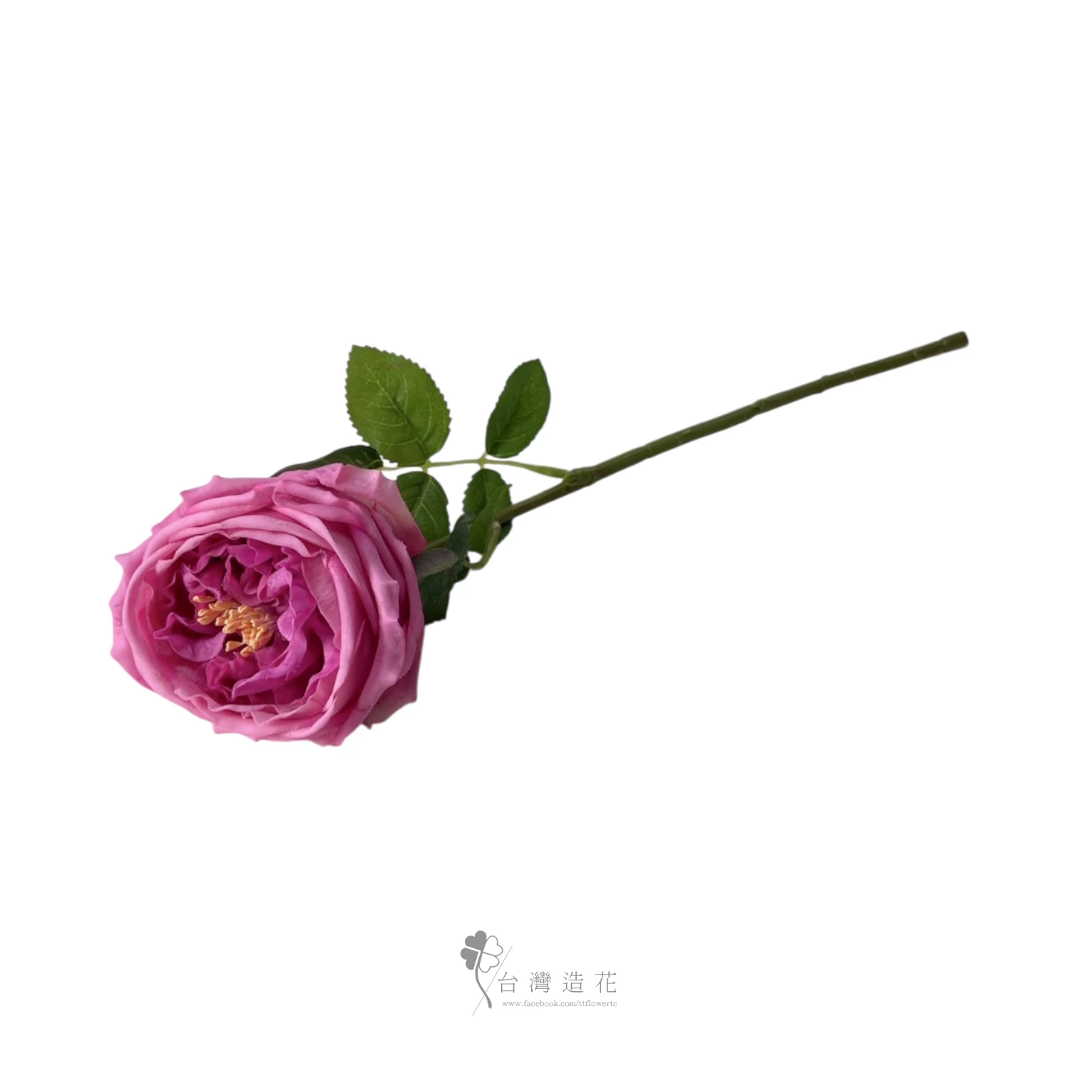 單支奈斯保濕玫瑰(紫紅)