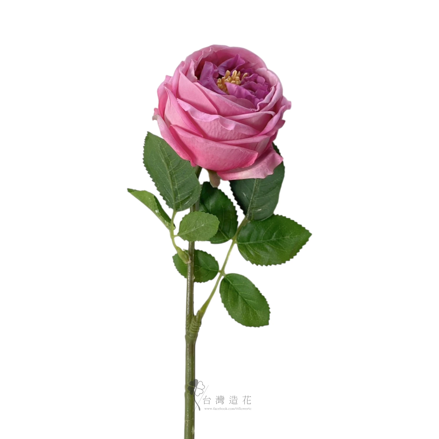 單支奈斯保濕玫瑰(紫紅)