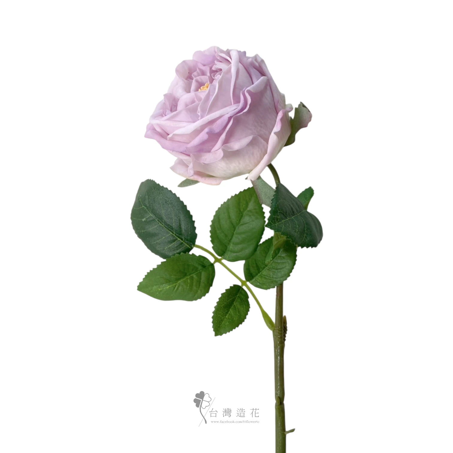 單支奈斯保濕玫瑰(紫)