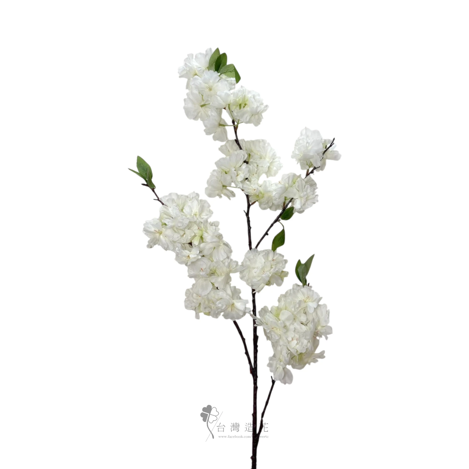 海棠櫻花(米白)