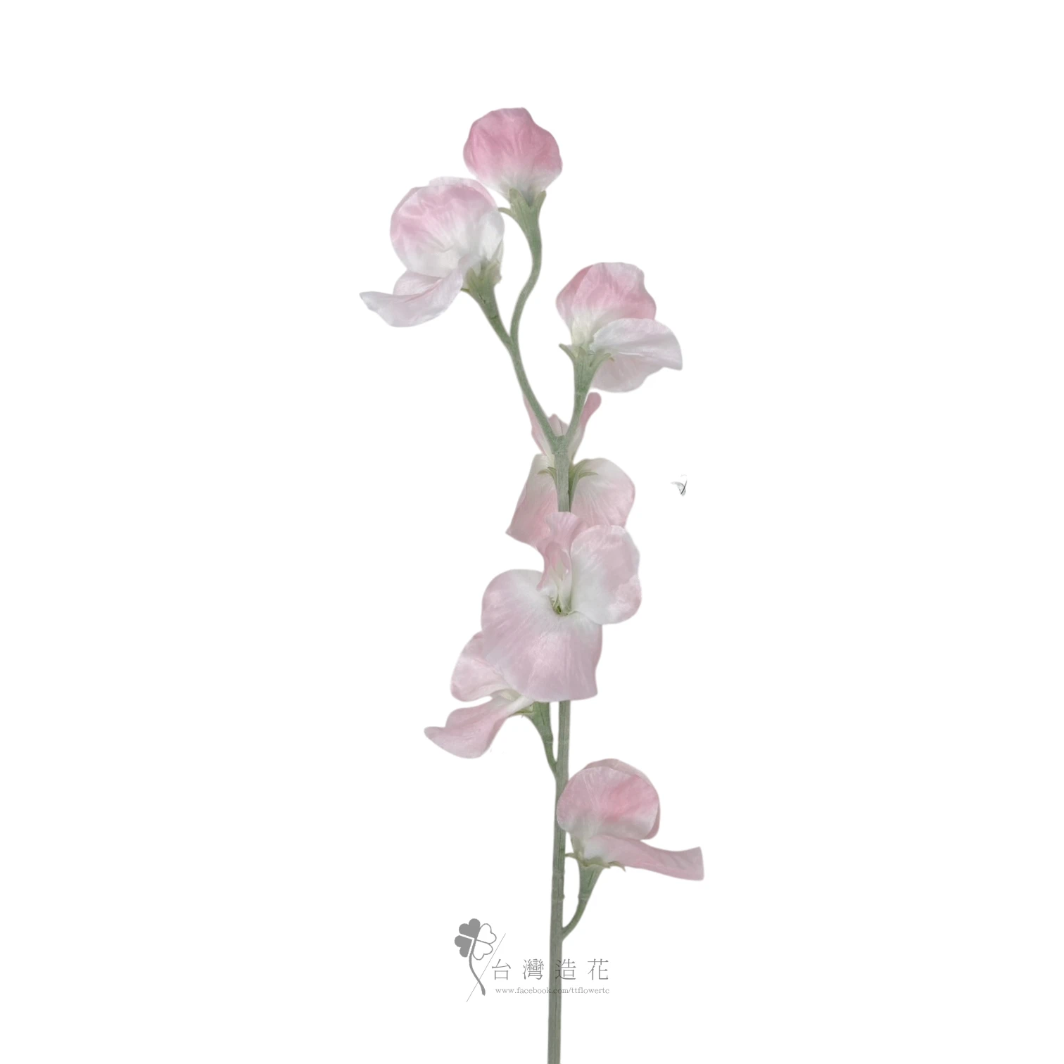 香碗豆花(淺粉)