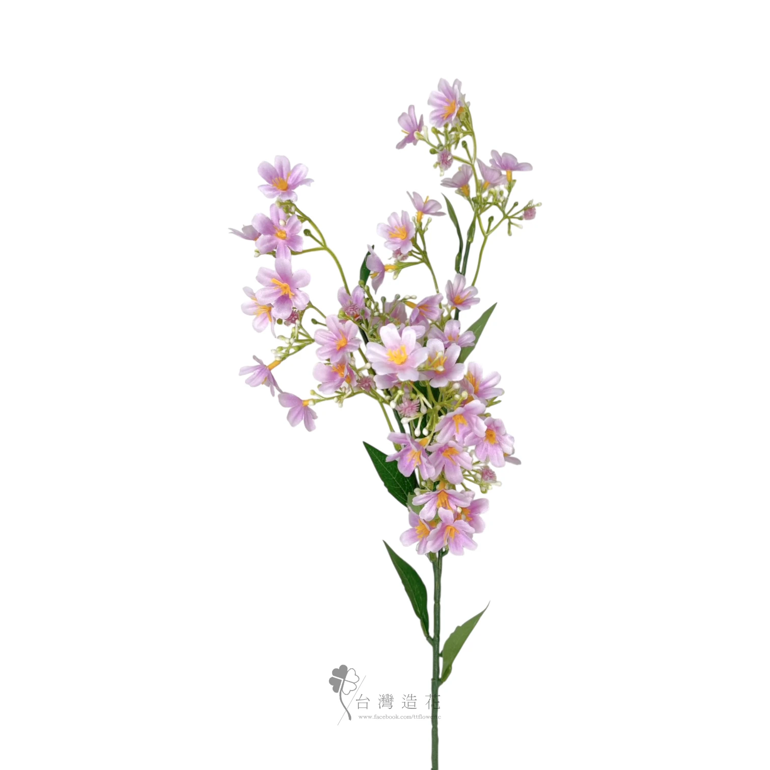 露薇花(紫)