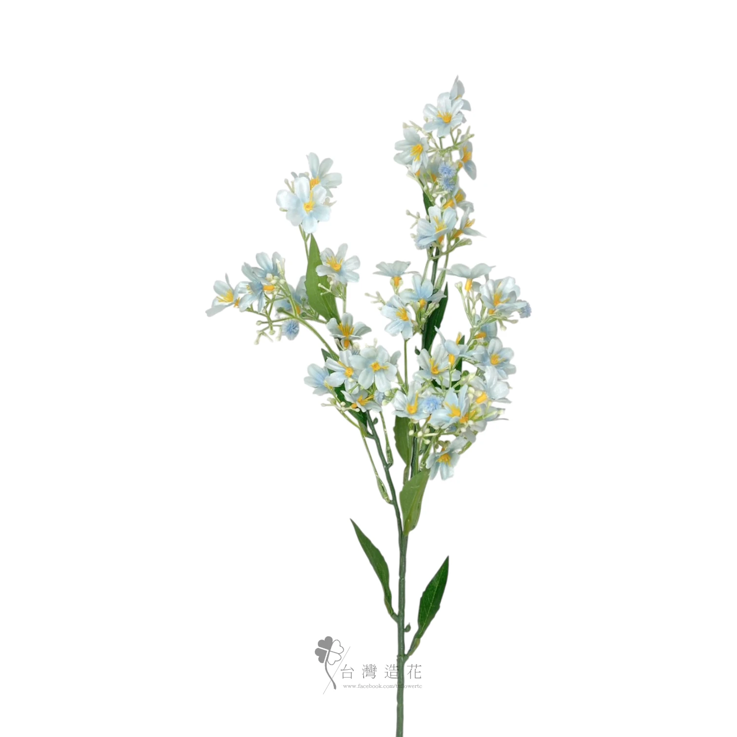露薇花(藍)