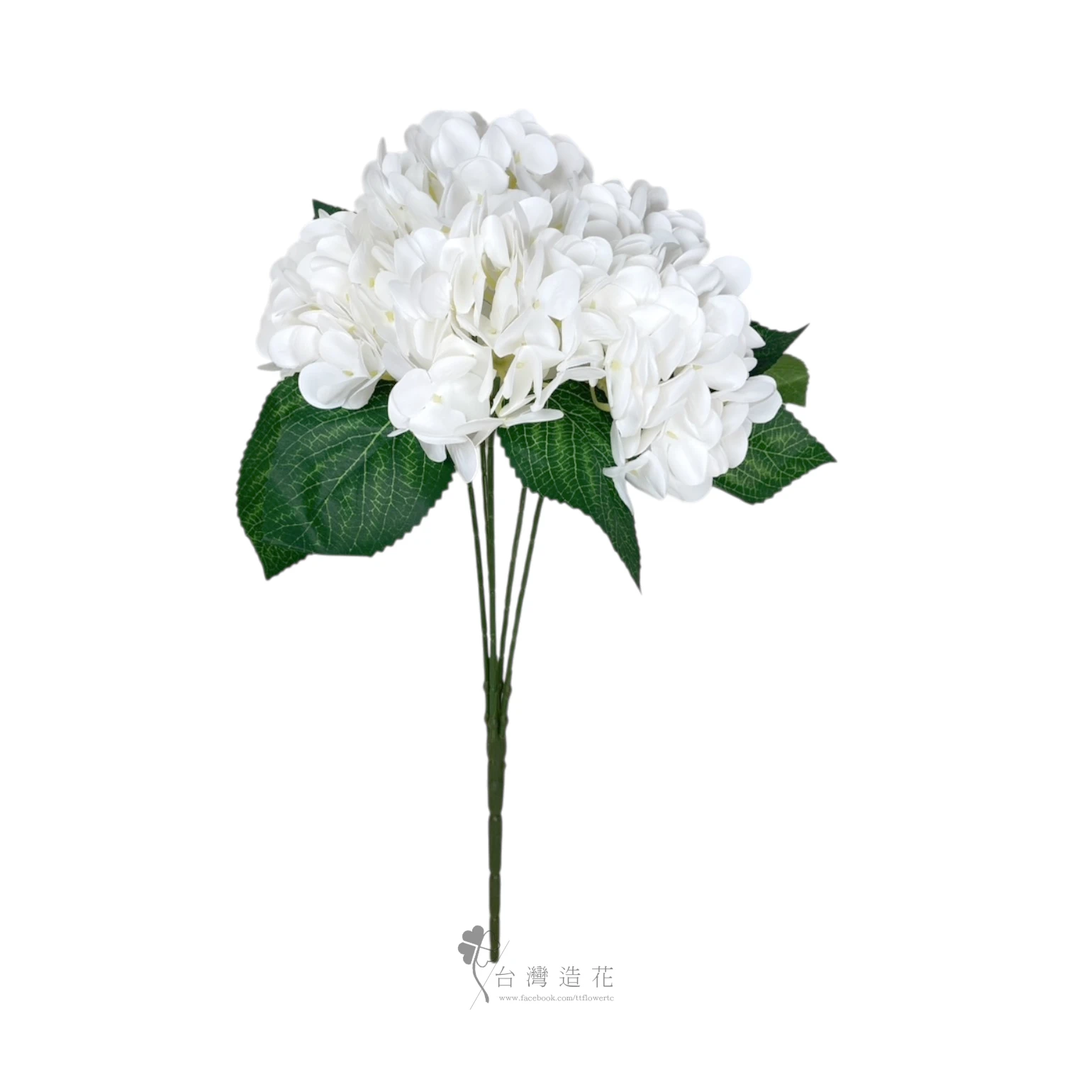 油畫繡球花束(白)