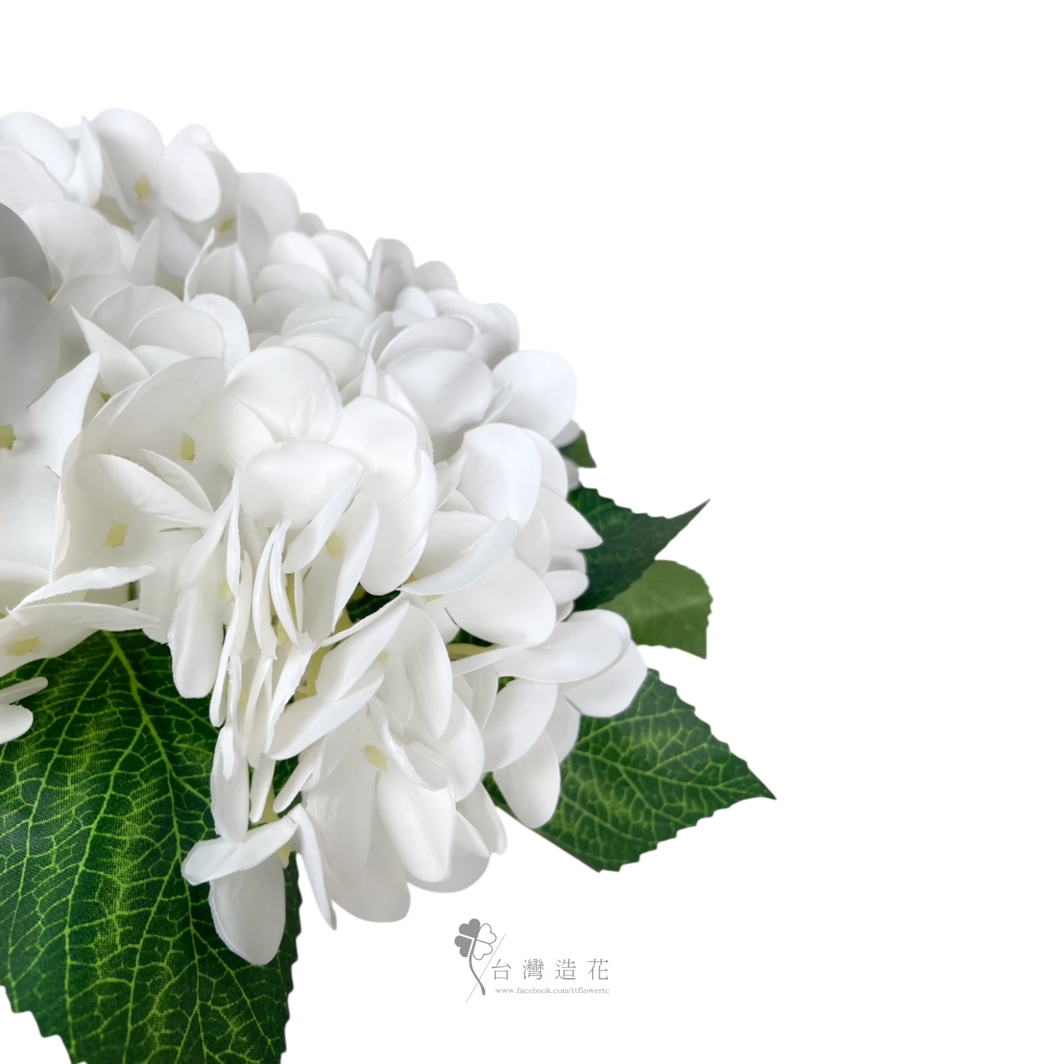 油畫繡球花束(白)