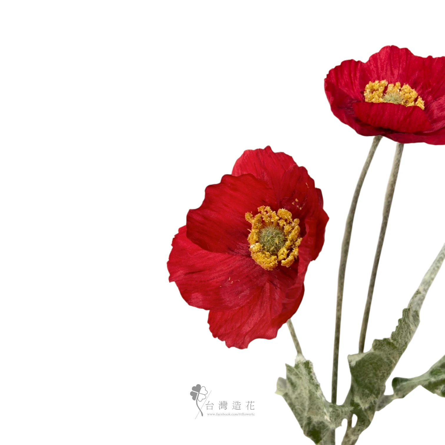 小虞美人(紅)