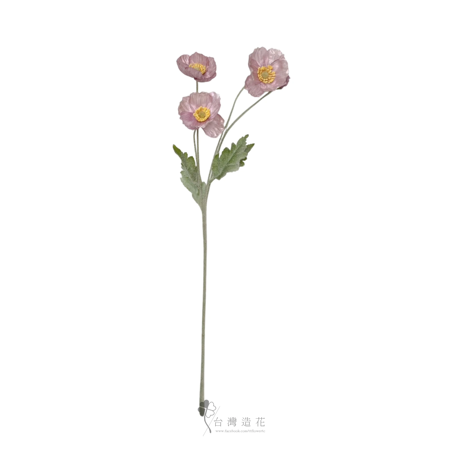 小虞美人(紫豆沙)
