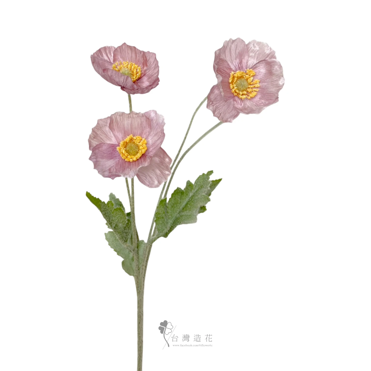 小虞美人(紫豆沙)