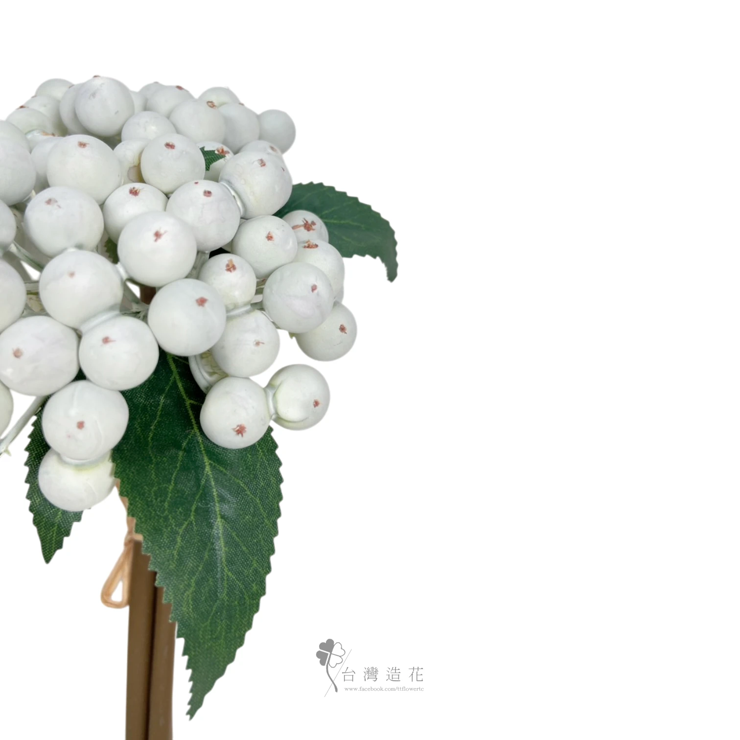 A甜果(米白)