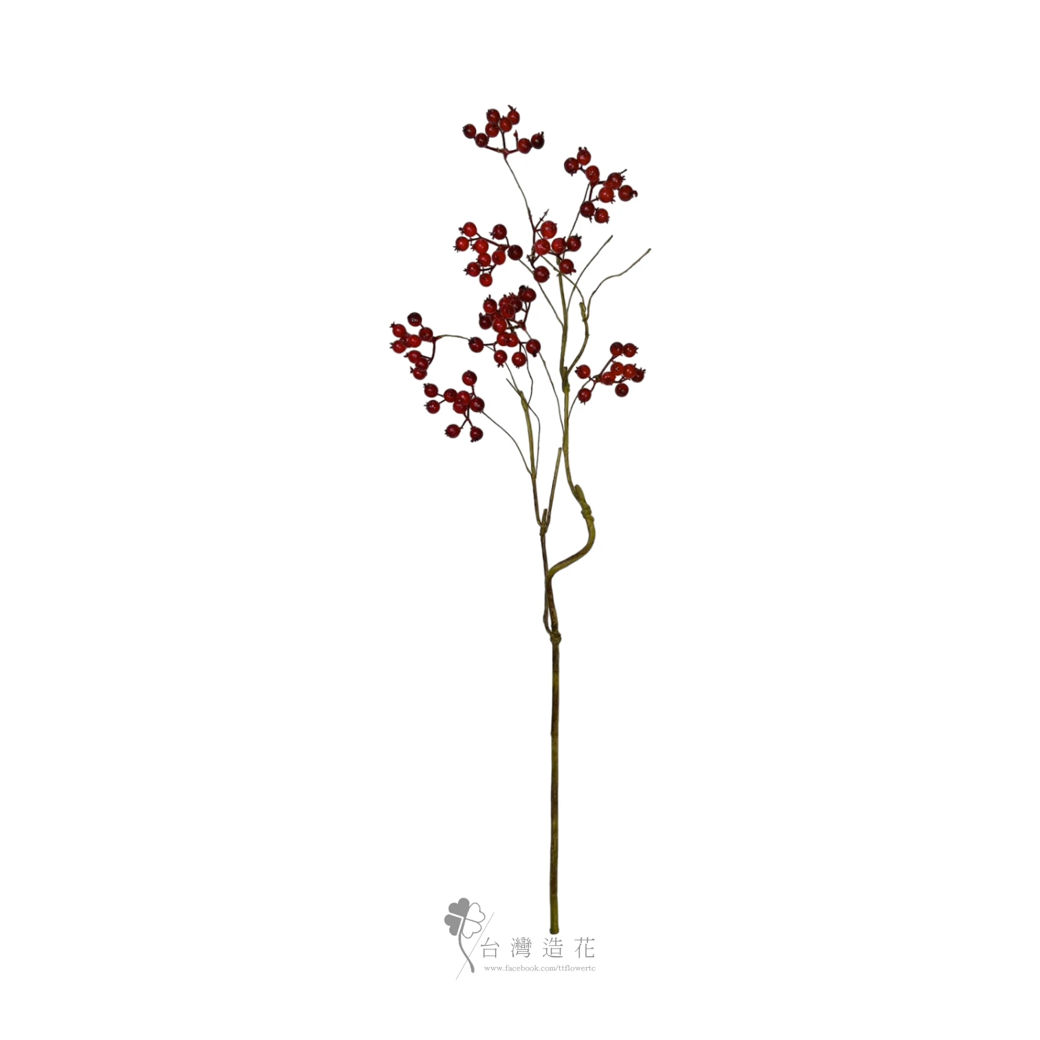 霜漿果(紅)