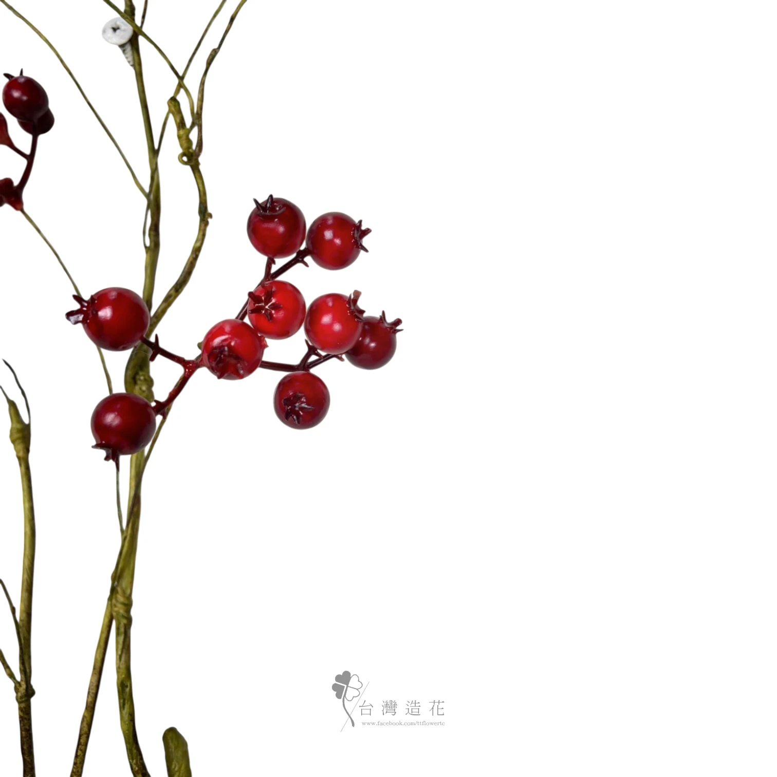 霜漿果(紅)