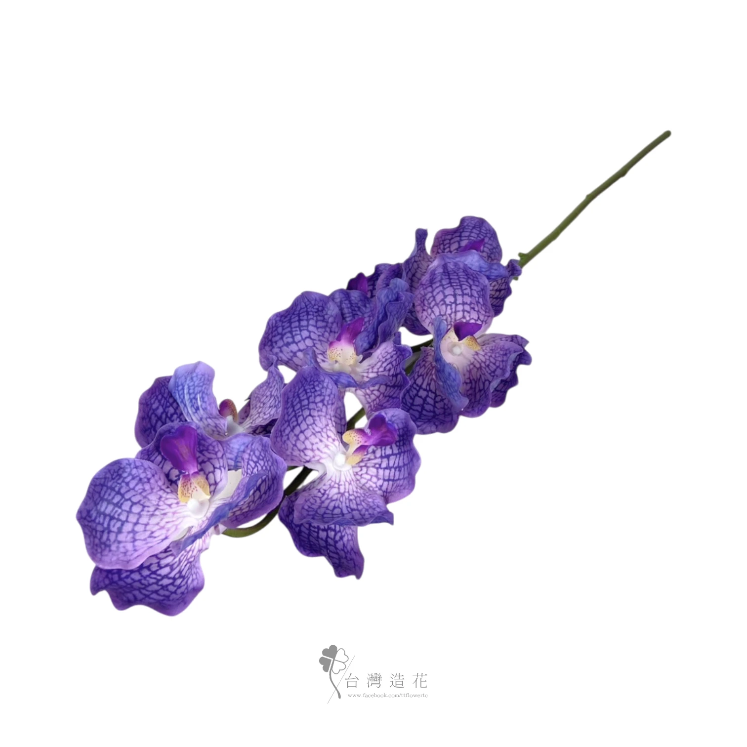 巨輪(紫藍)