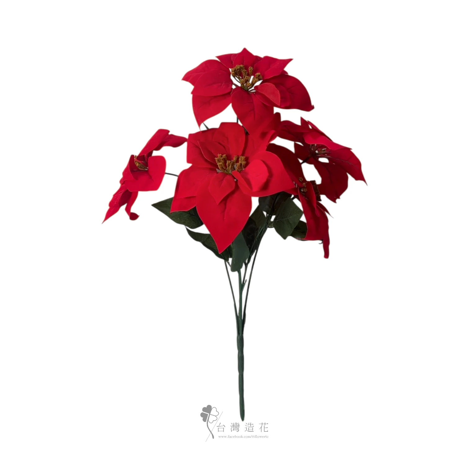 A5頭聖誕紅花束(紅)