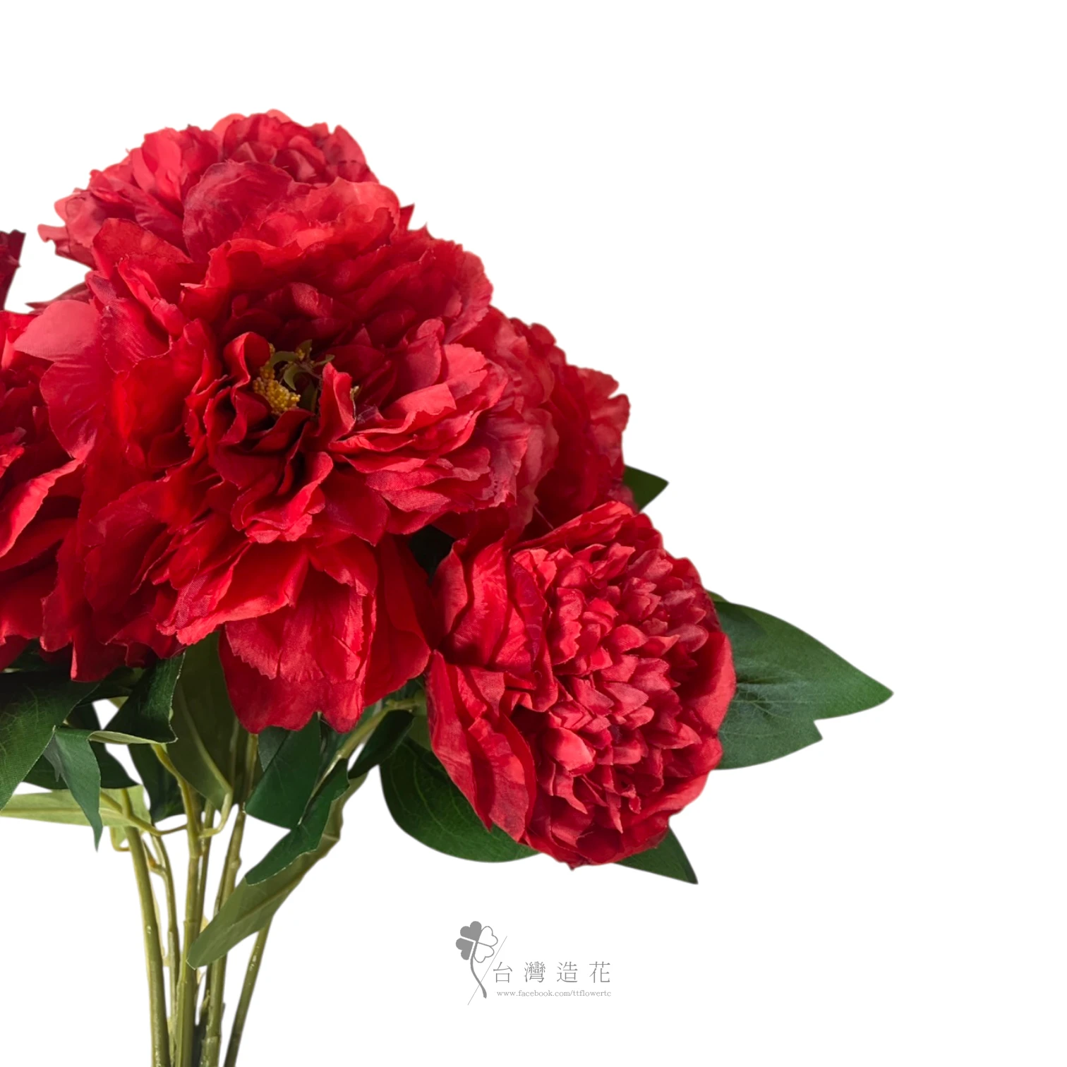 茶牡丹花束(紅)